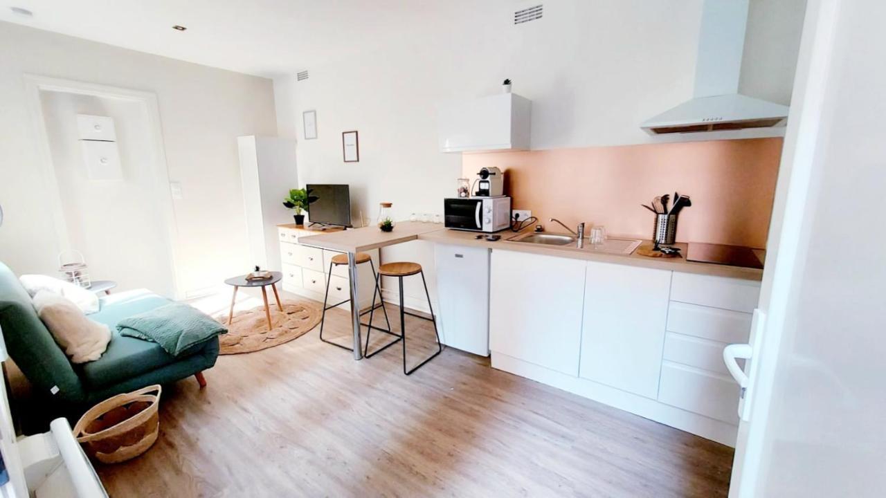 Cosy Yucca - 1Ch - Quartier Des Halles & Parking Pau Exteriör bild